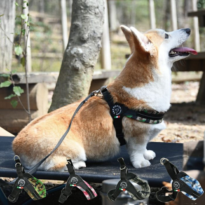 フィッビア　アジャスタブルタイプ　メッシュカモ【4号】  犬  TRE PONTI  トレポンティ  ハーネス