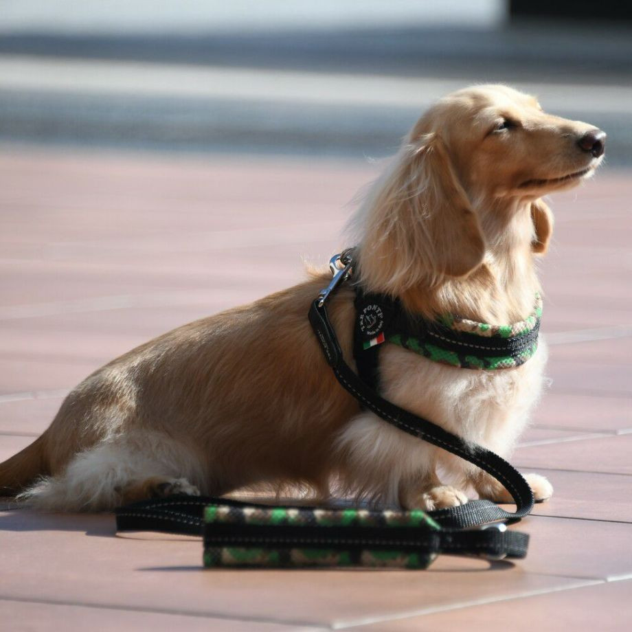 フィッビア　アジャスタブルタイプ　メッシュカモ【4号】  犬  TRE PONTI  トレポンティ  ハーネス