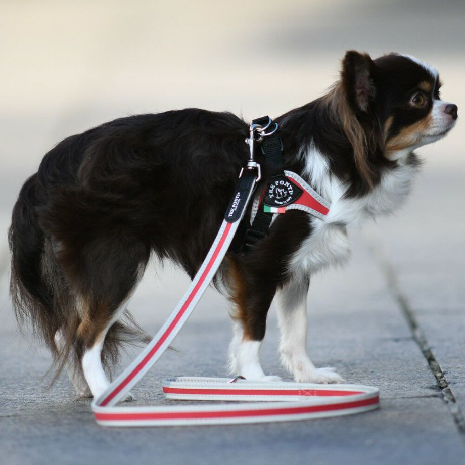 リーシュ　フォー　スモール　ブリーズ  犬  TRE PONTI  トレポンティ  リード