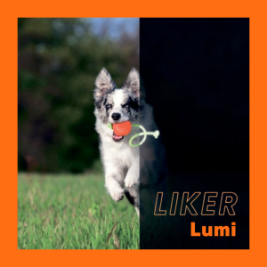 LIKER LUMI｜ライカー ルミ暗闇で光る魔法のロープ