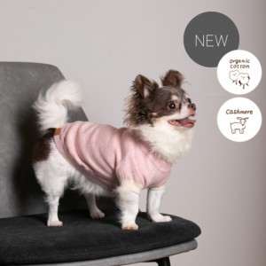 cashmere × cotton mock neck knit for DOG〈 pink × ivory 〉