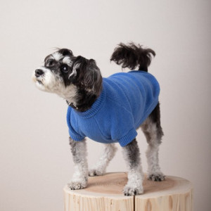 cotton mole oversize knit for DOG with.006〈 blue 〉