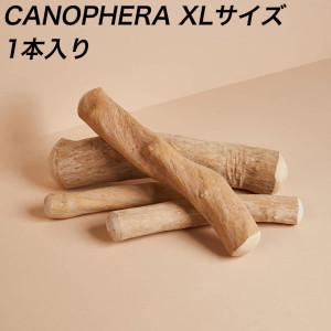 CANOPHERA キャノフィラ 犬用デンタルチュースティック 全犬種成犬用 XLサイズ 1本入り