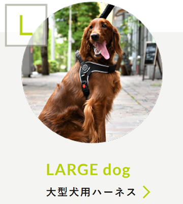 LARGE dog 大型犬用アイテム