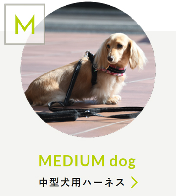 MEDIUM dog 中型犬用アイテム