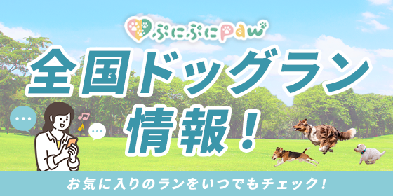TOPバナー画像316