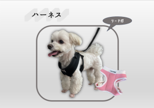 ハーネス