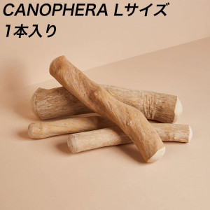 CANOPHERA キャノフィラ 犬用デンタルチュースティック 全犬種成犬用 Lサイズ 1本入り